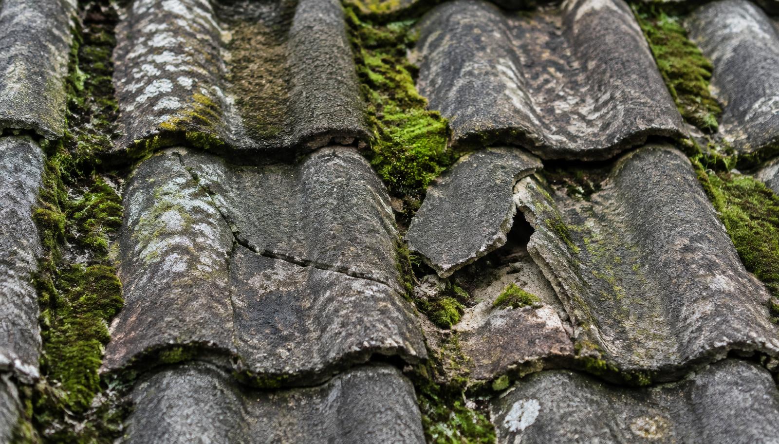 Close up of damaged roof tiles with moss